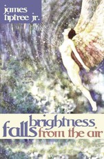 Brightness Falls From the Air