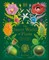 The Secret World of Plants