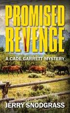 Promised Revenge