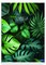 Sąsiuvinis A4 52lap 80g linija BOTANICAL