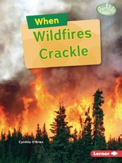 When Wildfires Crackle