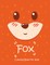 Fox Coloring Book For Kids