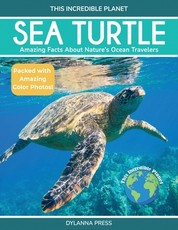 Sea Turtle