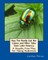 How The Beetle Got Her Colors and Other Tales from Latin America