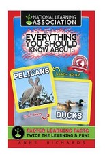 Everything You Should Know About