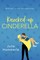 Knocked-Up Cinderella