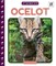 Ocelot