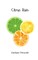Citrus Rain