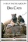 14 Fun Facts About Big Cats: A 15-Minute Book
