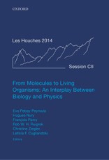 From Molecules to Living Organisms: An Interplay Between Biology and Physics