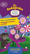 Sėklos „Paprastosios kosmėjos CANDY STRIPE“, Kakė Makė
