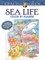Creative Haven Sea Life Color by Number Coloring Book
