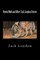 Brown Wolf and Other Jack London Stories