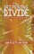 The Deepening Divide