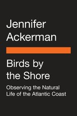 Birds by the Shore