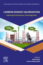 Carbon Dioxide Valorization