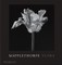 Mapplethorpe, R: Mapplethorpe Flora