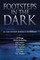 Footsteps in the Dark