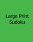 Large Print Sudoku - Moderate Puzzles