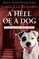 A Hell of a Dog