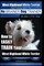West Highland White Terrier - Dog Training with the No BRAINER Dog TRAINER We Make it THAT Easy!