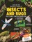 Explore Fantastic World of Insects and Bugs Picture Encyclopedia