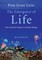 The Emergence of Life