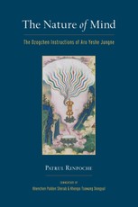 The Nature of Mind
