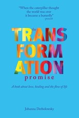 The Transformation Promise