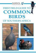 First Field Guide to Common Birds of Southern Africa