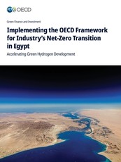 Implementing the OECD Framework for Industry's Net-Zero Transition in Egypt