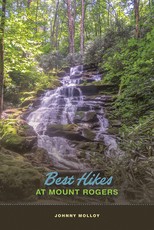 Best Hikes at Mount Rogers