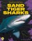 Sand Tiger Sharks