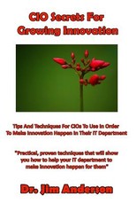 CIO Secrets For Growing Innovation