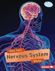 How Your Nervous System Works