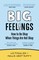 Fosslien, L: Big Feelings