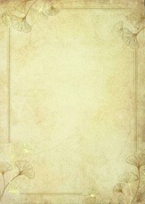 Popierius diplomams A4 190g 20l GINKGO