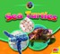 Sea Turtles