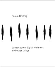 Carola Dertnig. donauspuren digital wideness and other things