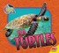 Sea Turtles