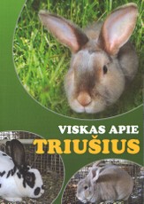 Viskas apie triušius