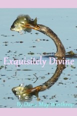 Exquisitely Divine
