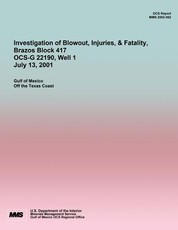 Investigation of Blowout, Injuries, & Fatality, Brazos Block 417 OCS-G 22190 July 13, 2001