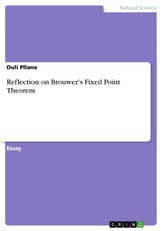 Reflection on Brouwer's Fixed Point Theorem