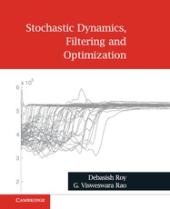 Stochastic Dynamics, Filtering and Optimization