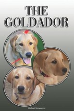 The Goldador