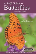 Swift Guide to Butterflies of North America