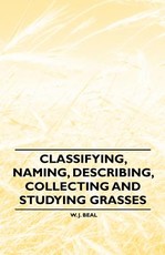 Classifying, Naming, Describing, Collecting and Studying Grasses