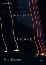 Invisible Insane