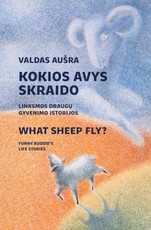 Kokios avys skraido? What sheep fly? Linksmos draugų gyvenimo istorijos